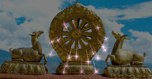 dharma wheel animation by Tara Rinpoche 